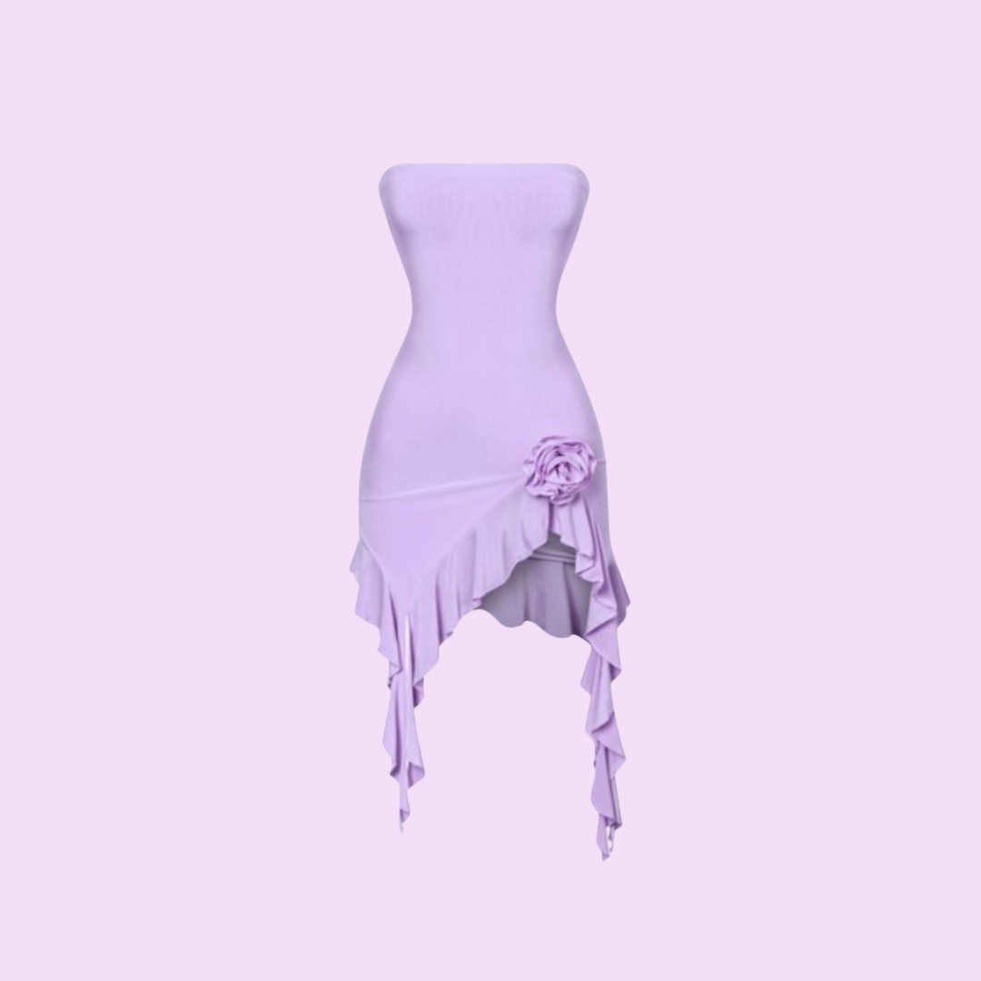 rosalva mini dress